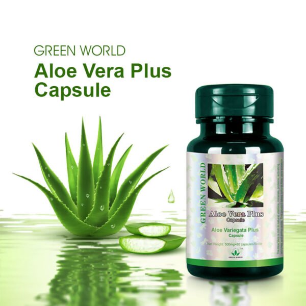 Green World Aloe Vera Plus Capsule